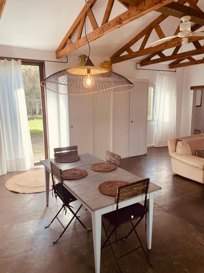 Vila Casa Cote Sud - Mas Bois Fontaine Nîmes Exteriér fotografie