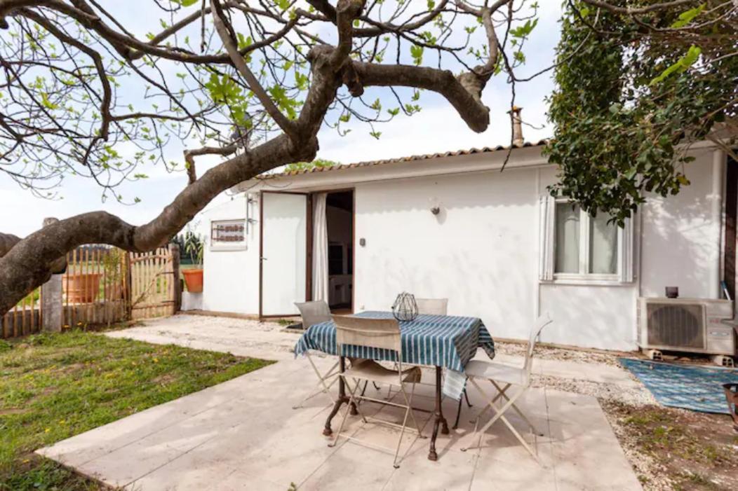 Vila Casa Cote Sud - Mas Bois Fontaine Nîmes Exteriér fotografie