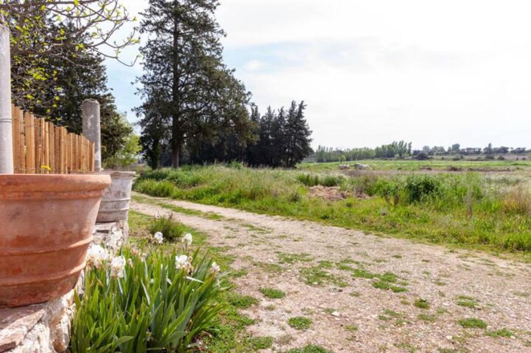 Vila Casa Cote Sud - Mas Bois Fontaine Nîmes Exteriér fotografie