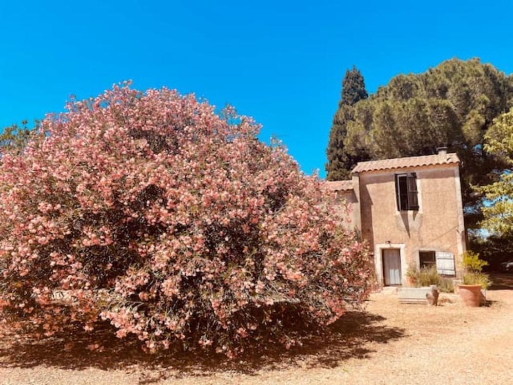 Vila Casa Cote Sud - Mas Bois Fontaine Nîmes Exteriér fotografie