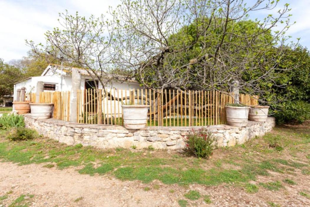 Vila Casa Cote Sud - Mas Bois Fontaine Nîmes Exteriér fotografie